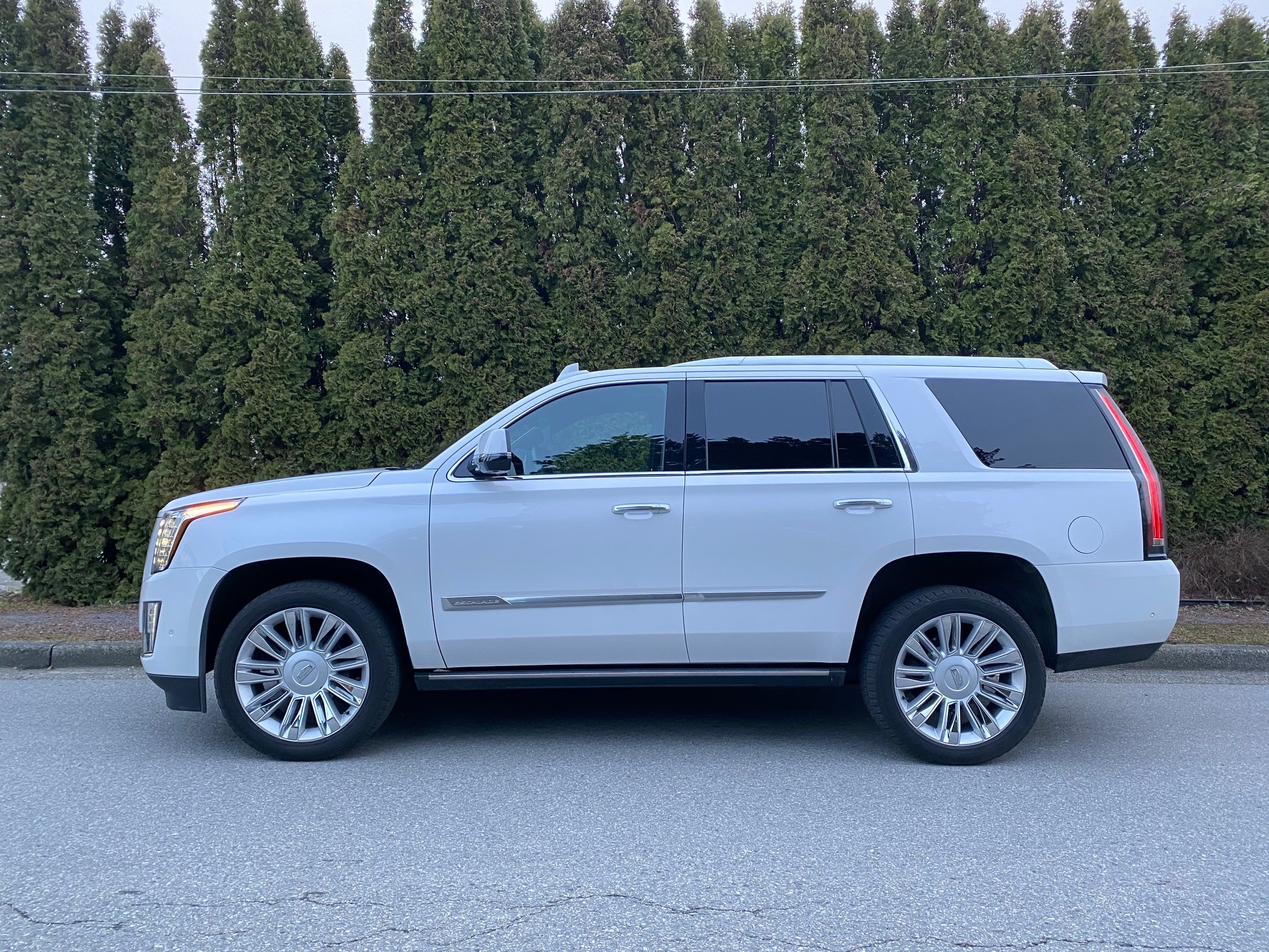 2017 Cadillac Escalade Platinum Edition - AXIS AUTO